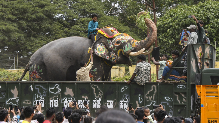 https://www.salarnews.in/public/uploads/images/newsimages/maannewsimage05102025_235323_Dasara Jumbo.png